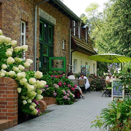 Gruener Wald Lägenhet Burg Kauper Exteriör bild