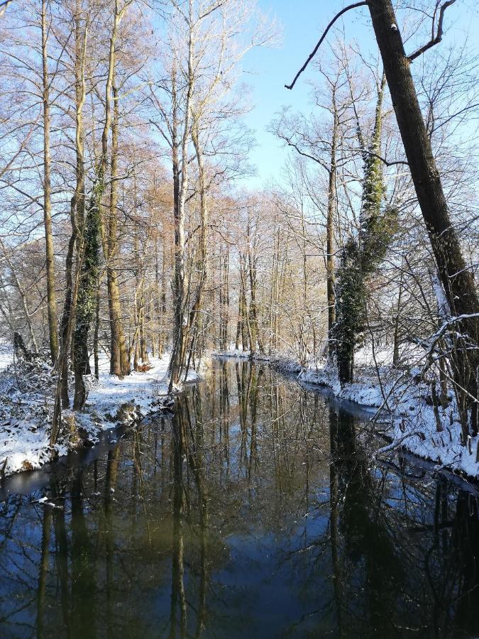Gruener Wald Lägenhet Burg Kauper Exteriör bild