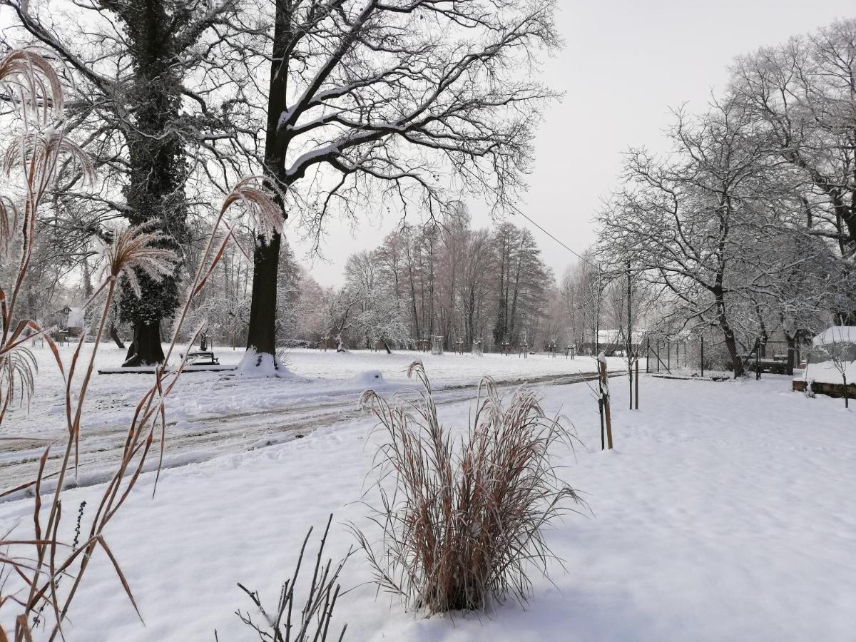 Gruener Wald Lägenhet Burg Kauper Exteriör bild